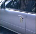 Biolife car door