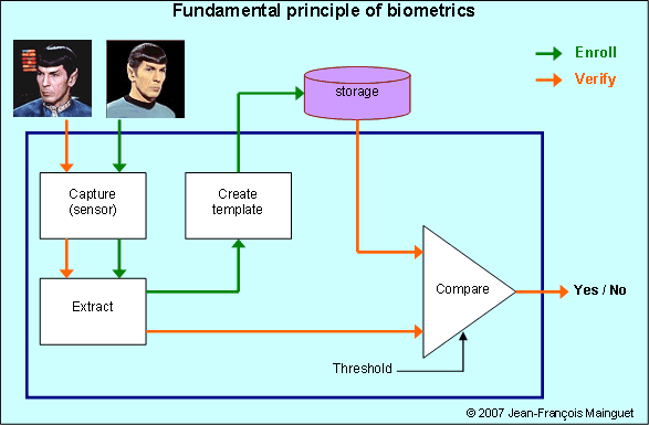 fundamental principle of biometrics