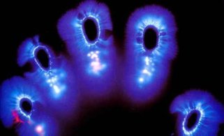 fingerprint kirlian