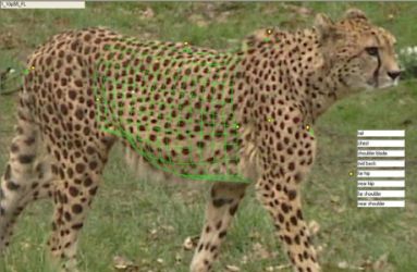 Conservation Research