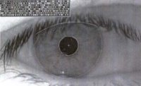 iris dilate