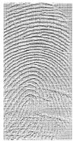application_20120085822_fingerprint_differential