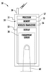 application 20130181949