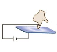 fingerprint sensing electrochemical