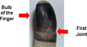 Inked finger for rolled impression