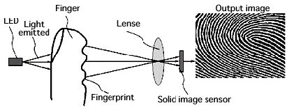 Transmission through the finger