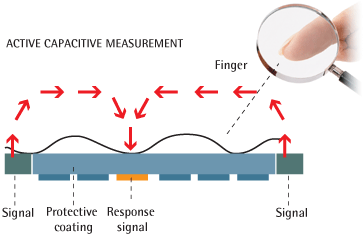 fingerprint sensing active capacitive