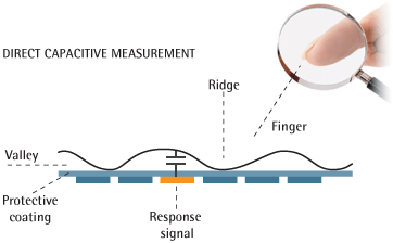 fingerprint sensing capacitive passive