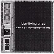 NTT Low Energy Labs (1999)