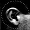 Ear