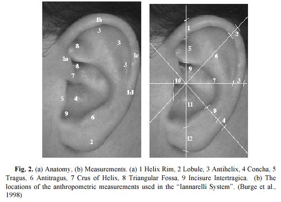Mesures du syst�me Iannarelli