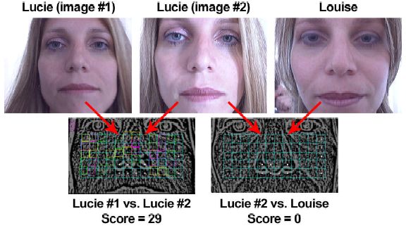 Comparaison de deux vraies jumelles